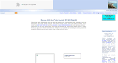 Desktop Screenshot of erikli.net